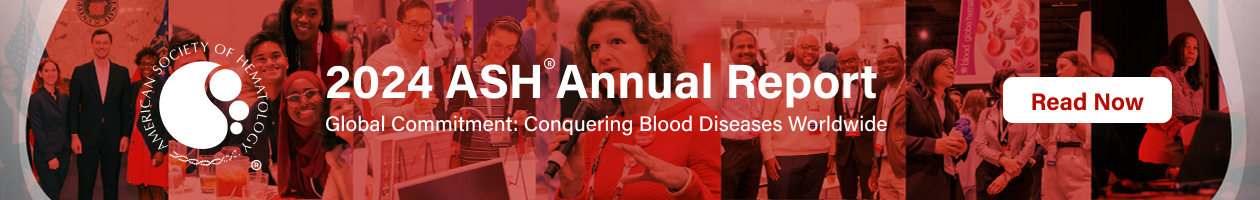 2024 Annual Report banner