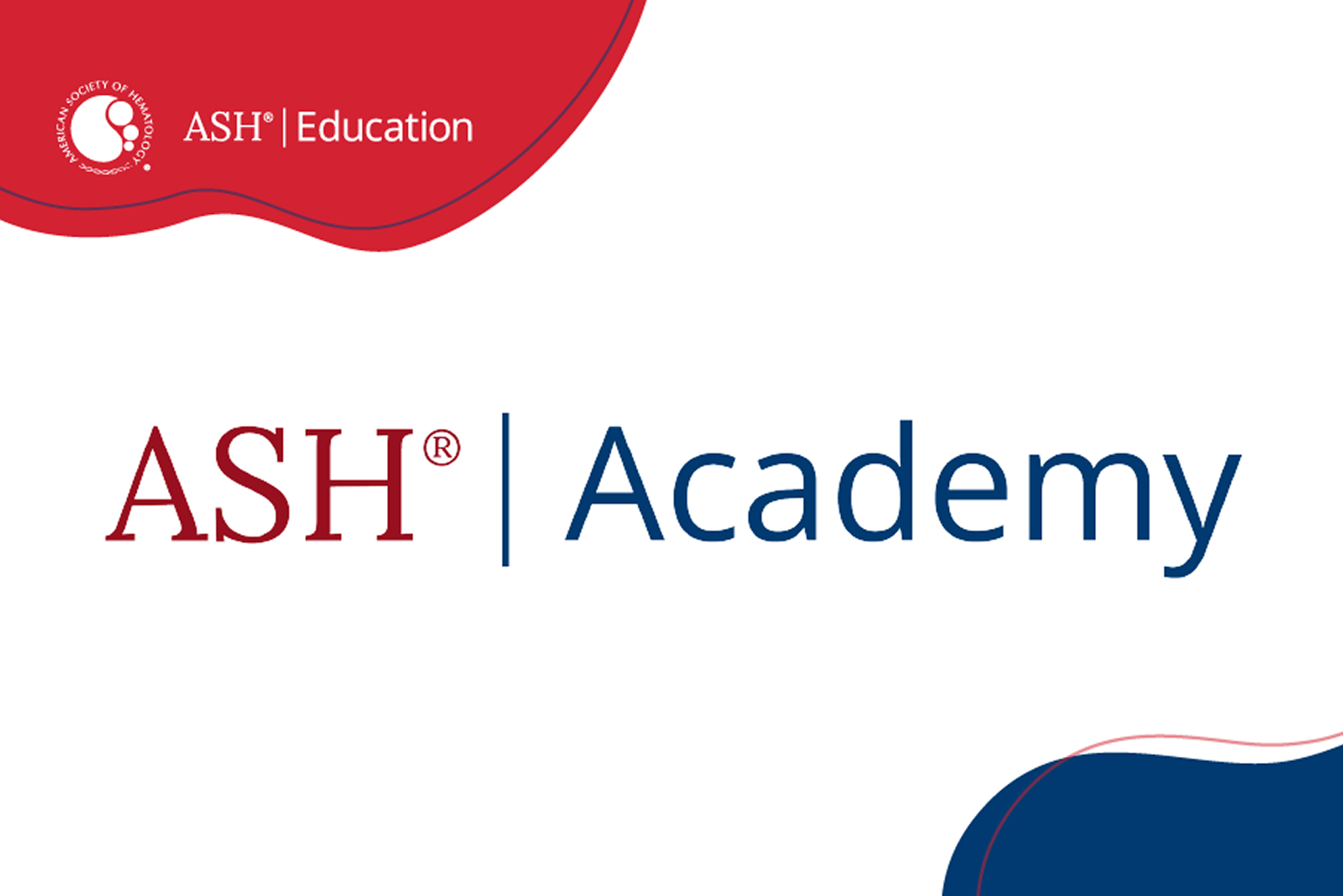 ASH Academy logo
