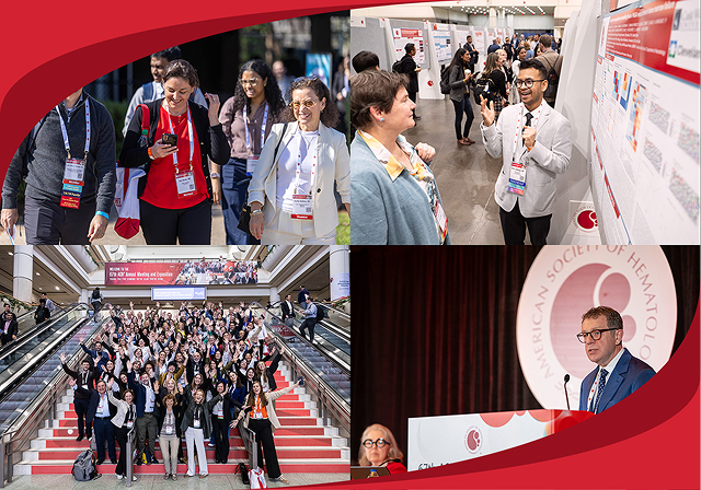 Photo Collage of 4 images that show ASHs dedication through its attendees and members