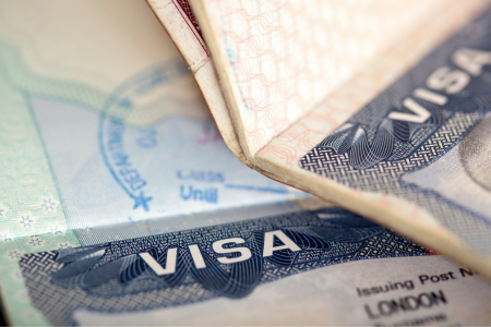 Closeup Photo of a Visa