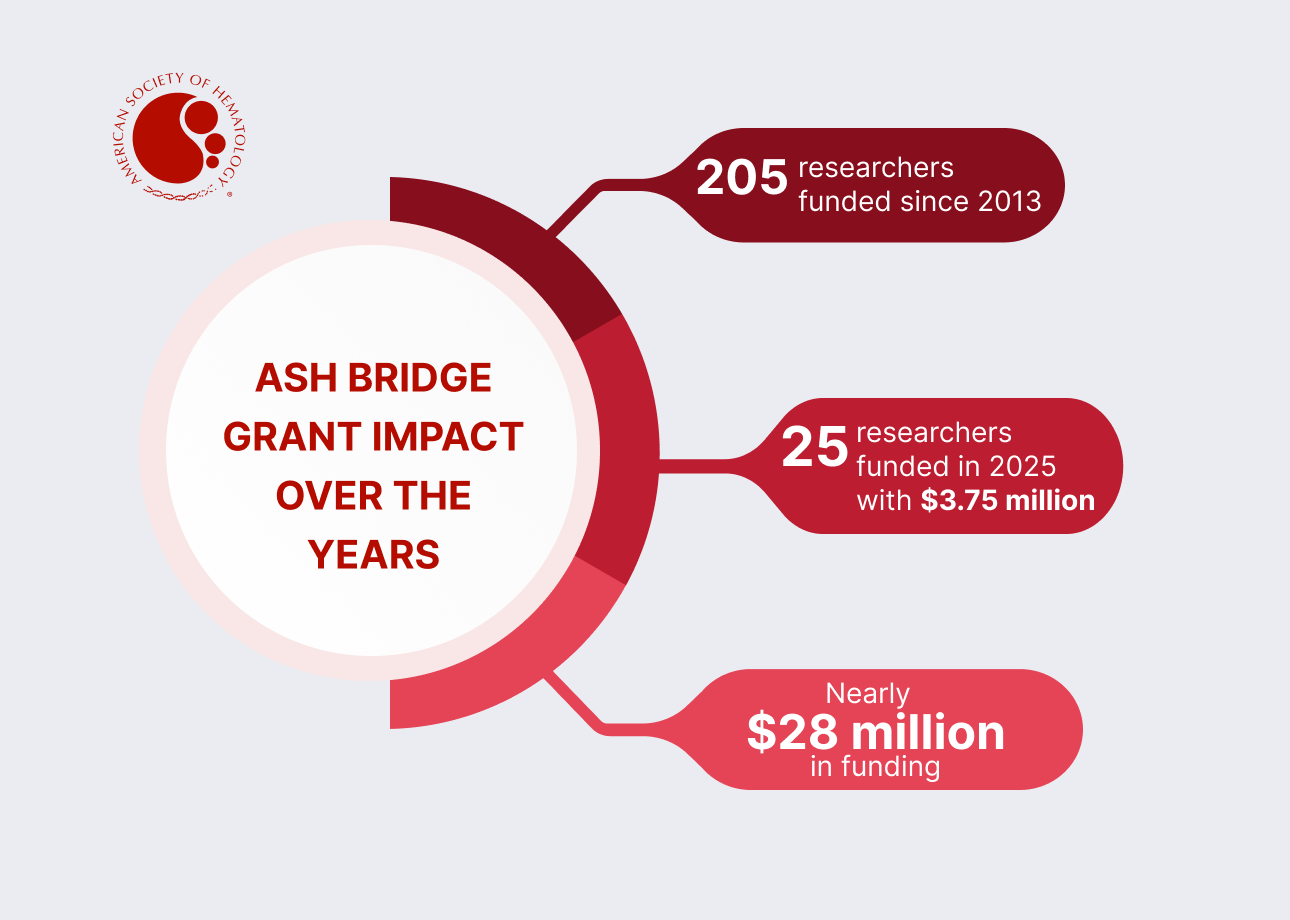 An infographic showing ASH BRIDGE GRANT IMPACT OVER THE YEARS, with three components. The first component shows 205 researchers funded since 2013, the second component shows 25 researchers funded in 2025 with $3.75 million, and the last component shows nearly $28 million in funding.