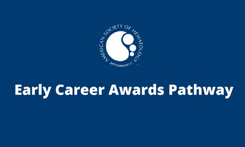 Early Careers Pathway Banner