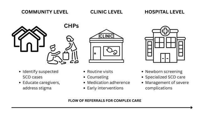 Flow_of_Referrals_for_Complex_Care Map