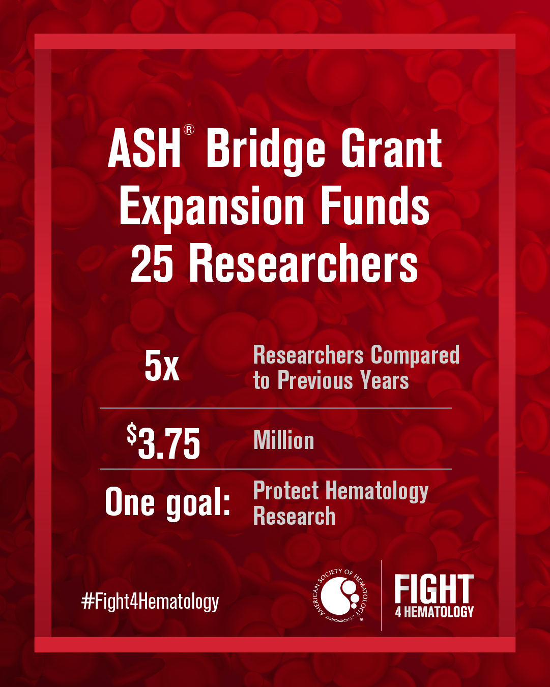 Bridge Grant Update Infographic 2025 version 2