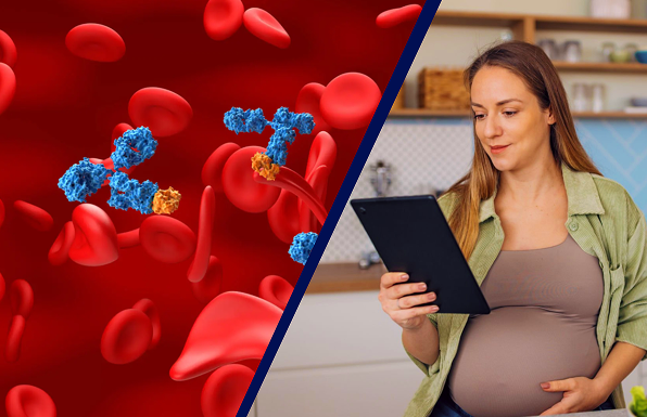A photo of a 3D blood cell with sickle cell traits and a pregnant woman reading on an iPad.