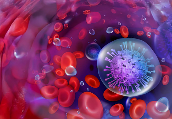 Blood_Cancers_Image