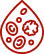 Acute lymphocytic leukemia (ALL)