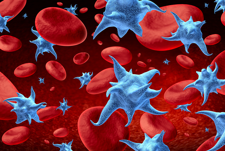 A 3D image of blue platelets in the blood cells