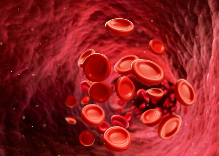 A 3D image of red blood cells flowing