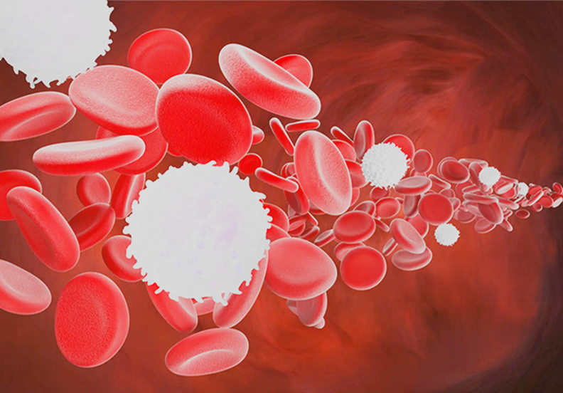 A 3D image of White blood cells flowing with Red blood cells