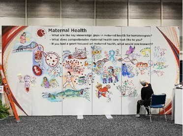 Maternal Health White Board